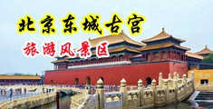 美女漏B国产中国北京-东城古宫旅游风景区